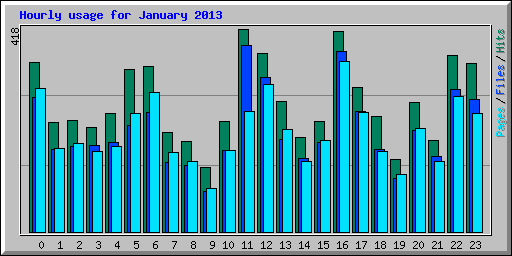 Hourly usage for January 2013